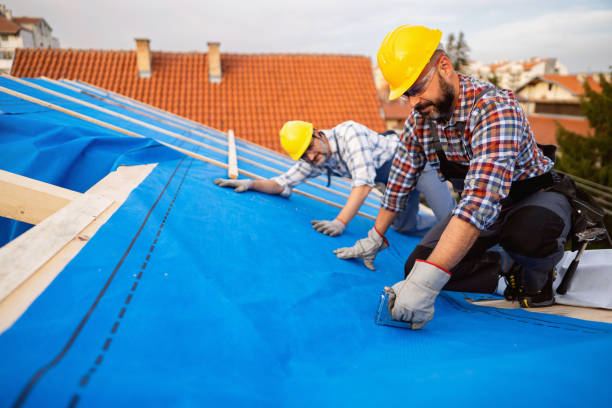 Best Roof Ventilation Installation  in Mclendon Chisholm, TX